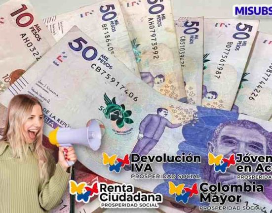 ¿Quieres ser parte de los subsidios? Renta ciudadana-Devolución del iva 2023