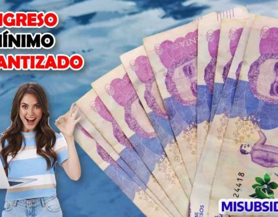 "Consulta link" focalización Grupo A y B del Subsidio Ingreso Mínimo Garantizado 2023.
