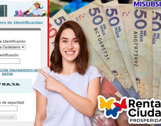 Link para consultar los pagos de Renta Ciudadana 2023 - Solo con tu numero de Cedula