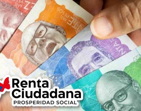 Renta ciudadana DSP