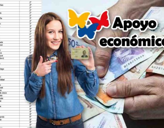 Apoyo Económico de $500 mil Consulta con tu Cédula y Accede a la Ayuda