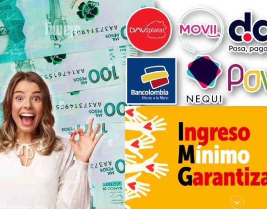 ¿Quieres $740.000?: Averigua si Cumples los Requisitos del Ingreso Mínimo Garantizado (IMG)