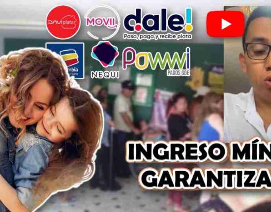 ingreso minimo garantizado (2)