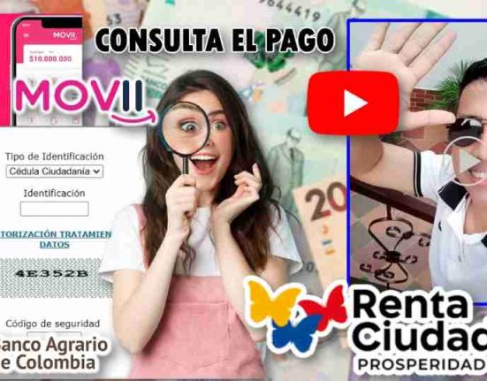 Renta Ciudadana