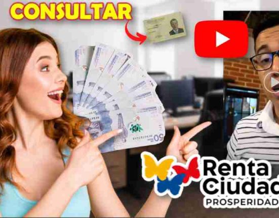 renta ciudadana