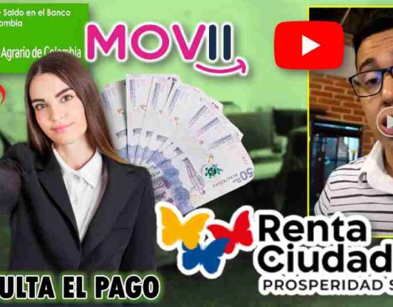 renta ciudadana