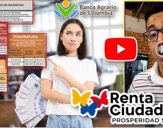 renta ciudadana