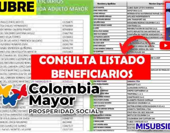 Ayuda Económica