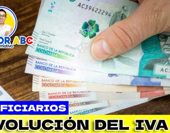 Consulta si eres beneficiario de los nuevos ciclos de Devolución del IVA 2024