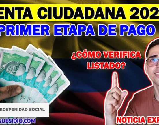 Renta ciudadana 2024: Primer Etapa de pago - línea de intervención "Consulta si eres focalizado y listado"