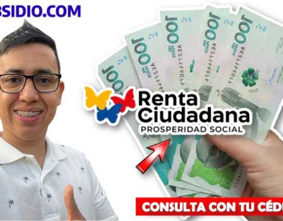 Devolución del IVA 2024