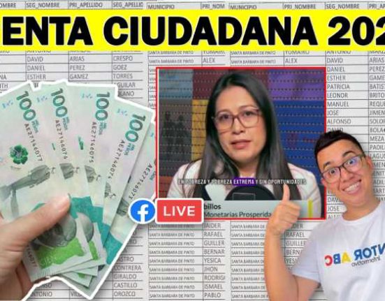 Renta Ciudadana 2024