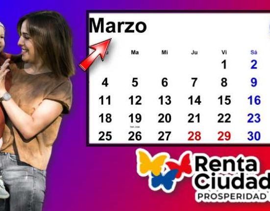 Renta Ciudadana