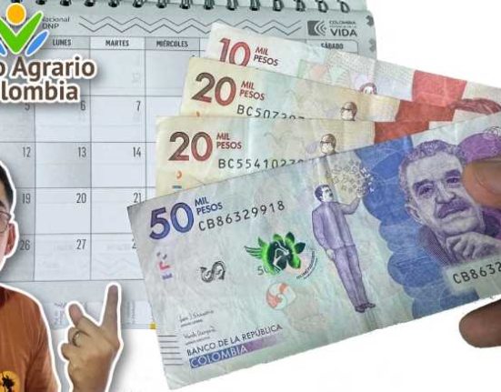 Renta Ciudadana