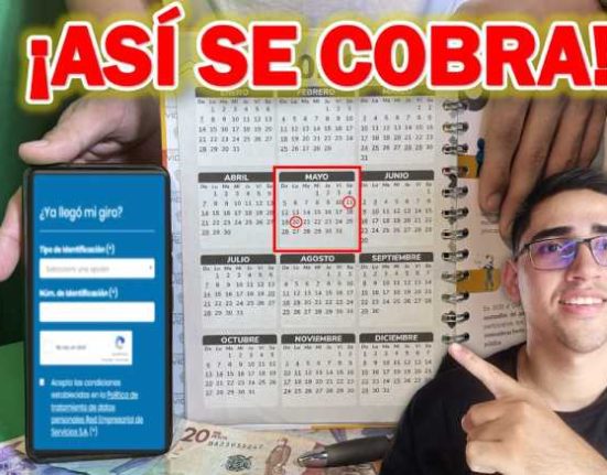Renta Ciudadana