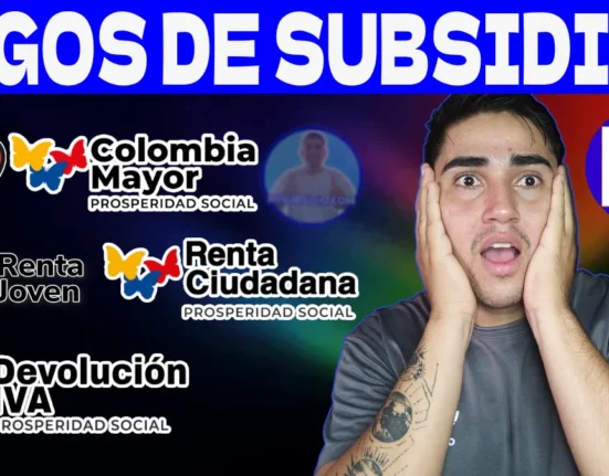 Subsidios