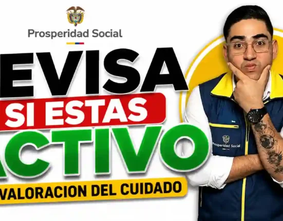 Estado ACTIVO Valoración del Cuidado cómo verificar paso a paso si tu hogar aparece habilitado en Renta Ciudadana